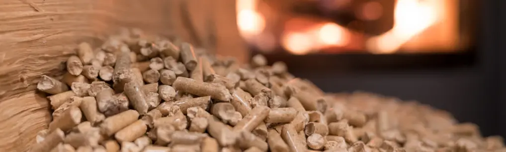 chaudière biomasse avec bois et pellet