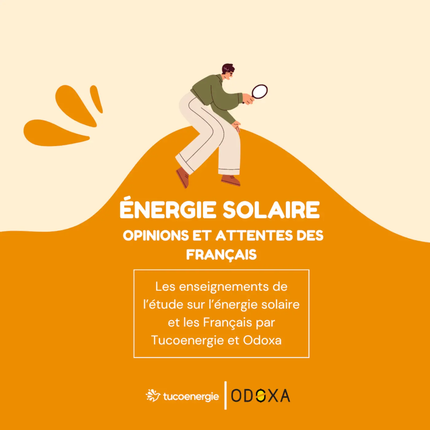 energie solaire : opinions et attentes des Français, les enseignements de l'étude sur l'énergie solaire et les Français par Tucoenergie et Odoxa